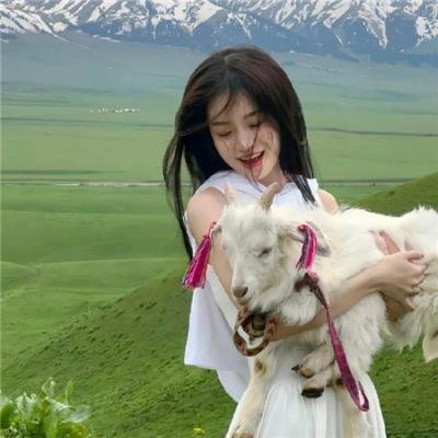 辽宁卫视春节联欢晚会2024